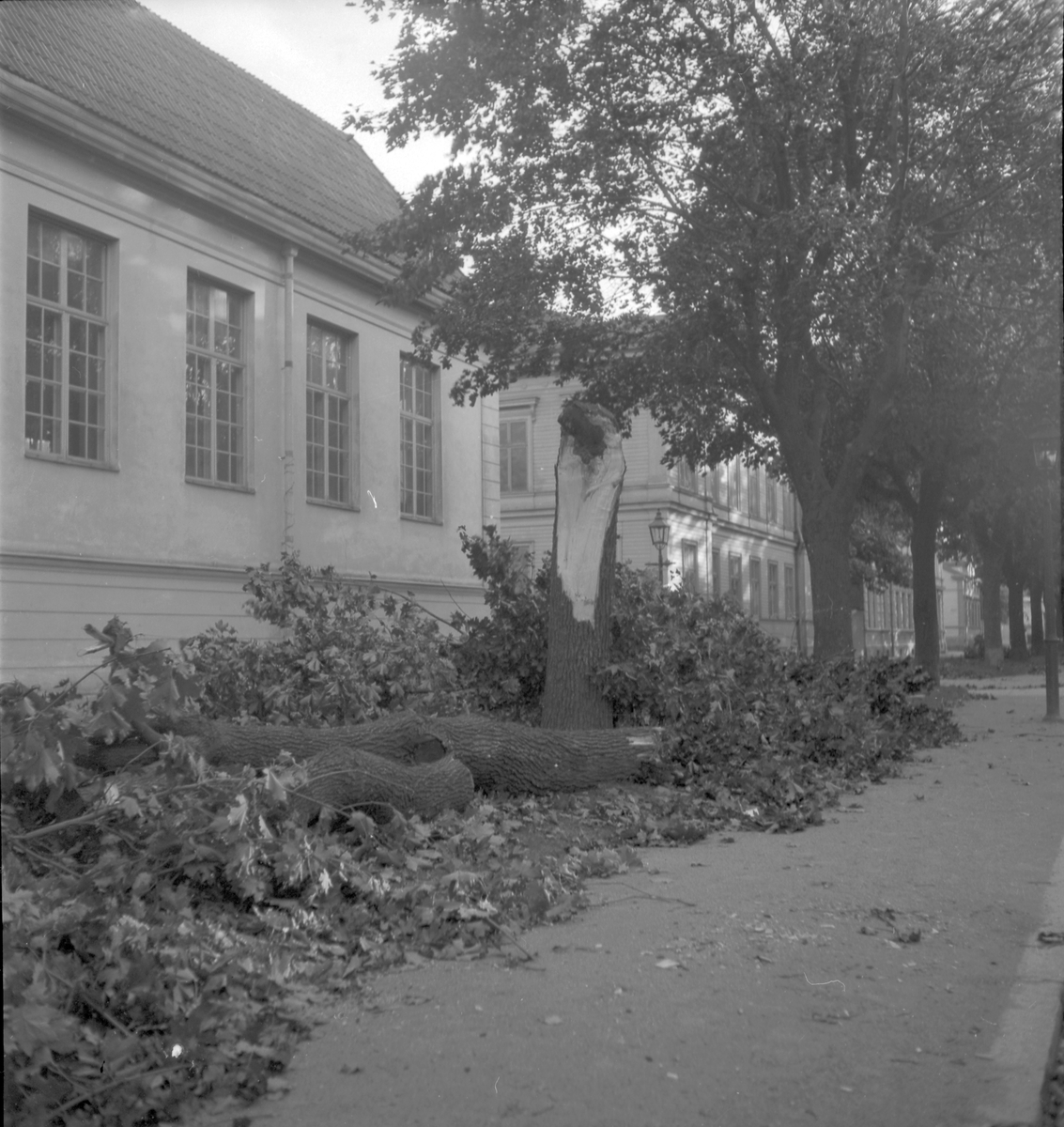 Höststormen. September 1937