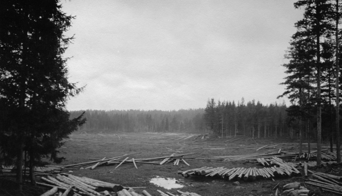 Fra den såkalte Stendammen i Stensåsen i Løten skogbygd.  Her kjøpte firmaet And. H. Kiær & Co. i Fredrikstad cirka 50 000 dekar med skog i 1875.  Skogen var bra, men driftsforholdene var vanskelige, i og med at det var arbeidskrevende å få tømmeret fram til de store fløtingsledene - via Rokosjøen og Svartelva til Mjøsa i vest, eller med lang hestetransport og fløting i Norderåa mot Glomma på elverumsida.  Kiærs forstmester Thorvald Mejdell foreslo derfor å bygge ei bortimot fem kilometer lang tømmerrenne østover mot Attholdsdammen i Norderåa.  Derfra anså han det for overkommelig å fløte virket videre i vassdraget slik det var.  Idéen ble realisert i 1889-90, i første omgang med ei trerenne.  For å skaffe vann til renna og for å ha et reservoar for påstikking av tømmer bygde man samtidig Stendammen.  Dette fotografiet later til å være tatt på et tidspunkt da dammen var fullstendig nedtappet.  I forgrunnen ligger det en del tømmer på det som antakelig må ha vært en strandbakke når dammen var full.  Kiær & Co. bygde også koie og stall ved Stendammen, som ble et slags sentrum for skogsdriftene i området.  Disse bygningene er ikke med på dette fotografiet.

I 1929 var det innmeldt 92 727 tømmerstokker til fløting i Norderåa, der fløtinga startet med at tømmeret ble sluppet fra Stendammen over i Stensåsrenna.