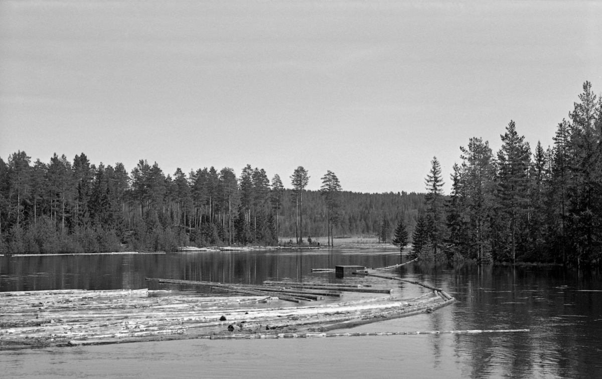 Fra Dalsæterdammen i elva Juråa i Nord-Odal i Hedmark. Fotografiet ble tatt i 1954.  Bildet viser et vannspeil med flytende tømmerstokker, avgrenset av ei lense, som kan se ut til å ha vært forankret i et rektangulært betongkar.  Dammen var omgitt av barskog med furu som dominerende treslag.  Juråa kommer fra Gåsvatna, mellom Årkjølen og Eidsfjellet i Våler kommune i Solør.  Derfra renner den sørover mot Skurvsjøen, og deretter sørvestover i Nord-Odal kommune, gjennom skog- og sætertrakter, etter hvert med tilførsel av vann fra Gryåa i vest og Tannåa i øst.  Den nedre delen av Juråa, som renner gjennom et jordbrukslandskap mot utløpet i Storsjøen ved garden Mo har vært kalt Moelva, etter garden og kirkestedet ved elveoset.  Juråa har et nedslagsfelt på om lag 115 kvadratkilometer.  Elva går, som nevnt, gjennom skogstrakter, og den var fløtbar helt fra Nedre Gåsvatn.  Dette var mulig blant annet fordi fløterne disponerte vatn fra to Gåsvassdammer, Skurvsjødammen, Bergsæterdammen og den dammen dette fotografiet er tatt ved, Dalssæterdammen.

I 1954 fikk fløtinga i Juråa en vanskelig start. Den 14. mai, den første fløtingsagen i Juråa dette året, satte om lag 1 000 tylfter seg fast i Mølbekkfossen til tross for at det var bra med vann i åa. Fløterne prøvde å sprenge vekk bandstokkene med dynamitt, men det lyktes ikke umiddelbart å få tømmeret i drift igjen, men fløterbas John Bergsødegården , gav ikke opp og lyktes dagen etter.