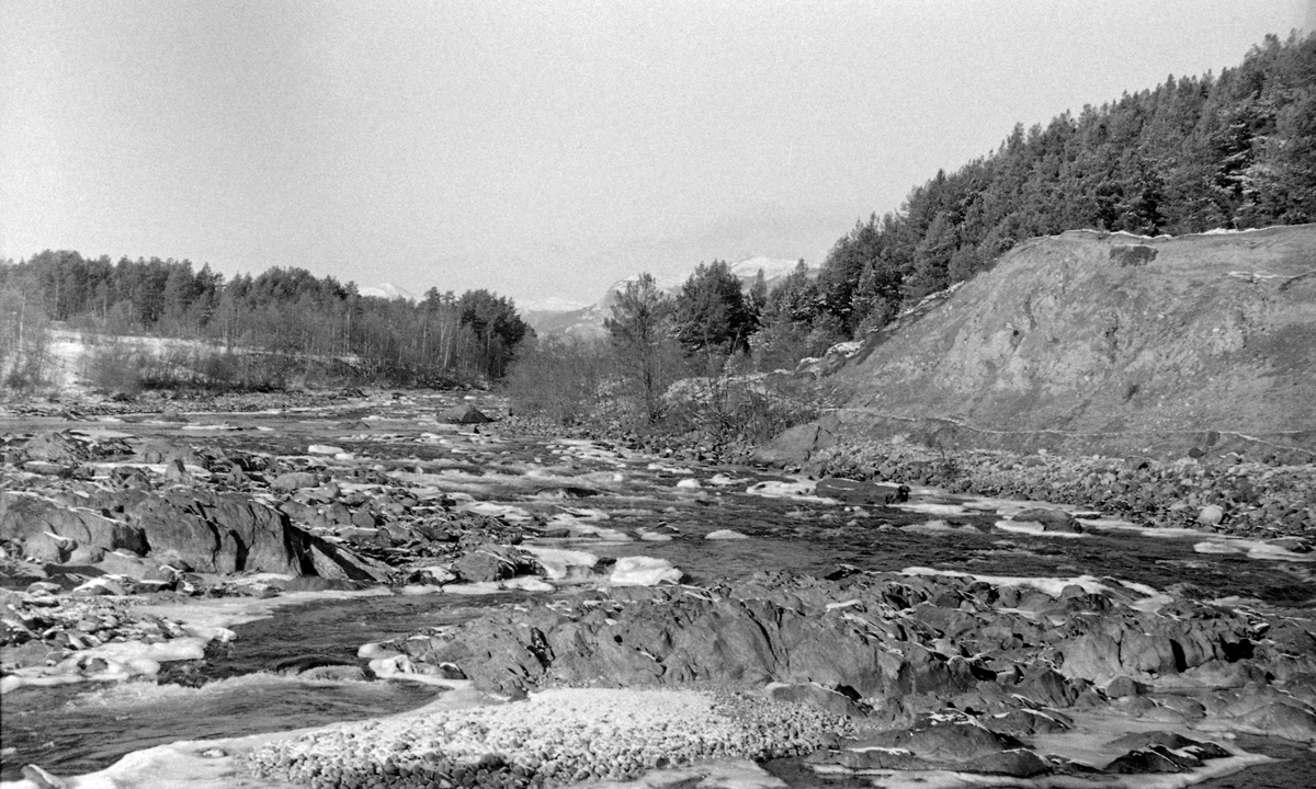 Elveløpet i Gudbrandsdalslågen ovenfor Dombfossen i Dovre kommune i Oppland en kald oktoberdag i 1955.  På denne dagen var vannføringa i elva svært lav, og kulda bidro til at det var i ferd med å legge seg is rundt steiner som stakk opp over vannskorpa.  Dem var det mange av, for på dette stedet gikk Lågen over ei svært ujevn bergflate.  Til venstre i bildet aner vi at den hadde gravd seg gjennom en sand- og grusrygg.  Høyere oppover i lia vokste det furuskog.