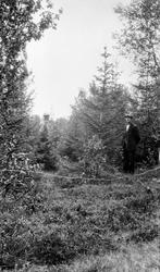 To menn, antakelig skogfunksjonærer, fotografert i et ungt p