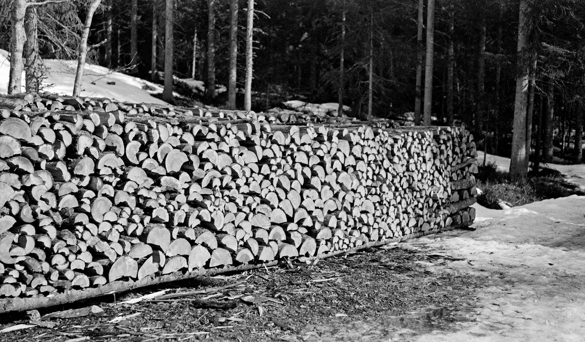 Vedstabel med gran- og furuved i Borgerudskogen på Sokna i daværende ...