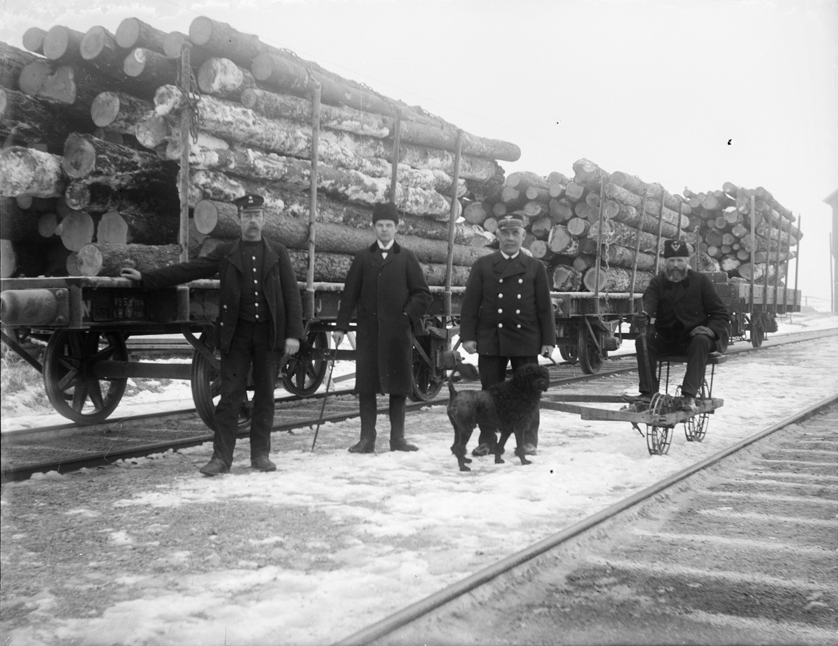 Järnvägstjänstemän framför timmertransport