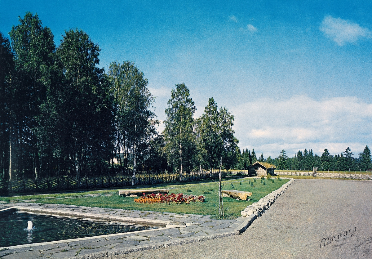Innkjøringa til Norsk Skogmuseum i Elverum fra Solørvegen, slik den så ut i 1960-åra.  I den høyre delen av bildeflata ser vi den gruslagte innkjøringsvegen med parkeringsplasser for gjestenes biler.  Til venstre ser vi en park, med et triangulært lite basseng (nærmest fotografen) og en park med blomsterbed, benker av halvkløvde grove stokker og busker.  Parken avgrenses av en skigard, og bak denne skimter vi en bjørkelund.  I enden av parken, mot Solørvegen, sto det ei laftet koie som var flyttet til museet fra Romedal almenning.  Vinteren 1964 var konservator Tore Fossum på befaring i denne allmenningen sammen med skogfullmektig Sverre Skogsrud og herredsskogmester Aage Dæhli (1922). Karene så særlig på tre koier, hvorav den ene var ei såkalt tårnkoie. Fossum var imidlertid mest interessert i ett av de andre husværene, ei såkalt «murkoie». Dette var en koietype som ikke hadde åpen åre midt på golvet, som alle de koiene og buene museet hadde innlemmet i friluftsmuseet før den tid, men en peis («mur») ved den ene langveggen. Murkoia var en gave fra Romedal Almenning, der den hadde gått under navnet «Fattigmannsholtet».  Murkoia fra Fattigmannsholtet skal være bygd i 1918 i den daværende Egeberg-almenningen, skogen til Westye Egeberg & Co. i Romedal, som i 1929 ble innlemmet i Romedal almenning igjen, etter i overkant av 250 år på utenbygds hender. Murkoia fra Fattigmannsholtet var tilsynelatende spesiell, men da konservator Tore Fossum fikk flyttet den til Elverum hadde han brakt på det rene at denne typen skogshusvær hadde vært utbredt i Odalen og stedvis også i Solør-bygdene.  Bygningen ble plassert ved det som var i ferd med å bli museets nye hovedinnkjøring fra Solørvegen (riksveg 80). Ettersom det var noen hundre meter fra avkjørselen fra denne vegen til Klokkergarden, der museet hadde kontor og utstillinger, og enda lengre til friluftsmuseet, hadde Skogbruksmuseet behov for et publikumsmottak som sto nærmere denne gjennomfartsåra. Den første funksjonen murkoia fra Fattigmannsholtet fikk på museet var derfor å være «resepsjonskoie».  Da det nye museumsbygget nærmere Solørvegen ble ferdig i 1970-71 ble Fattigmannsholtkoia flyttet til «Koiedalen» i friluftsmuseet på Prestøya, der den inngår i ei samling av ulike typer skogskoier.  Jfr. SJF-B. 0015. 