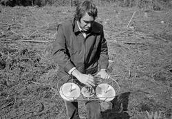«Konsulent Olav Kaveldiget demonstrerer planting. Juni 1977»