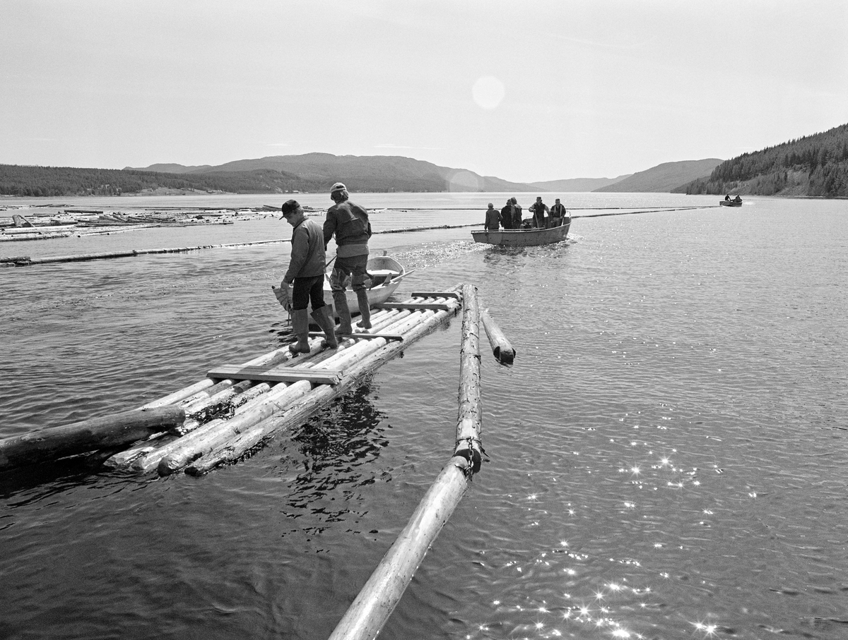 Lenselegging i nordenden av Storsjøen i Ytre Rendalen våren 1984.  I forgrunnen ser vi to fløtere på en tømmerflåte, som det lå en robåt fortøyd ved.  Lengre ute på vannspeilet ser i to dieseldrevne varpebåter av stål som også ble brukt i arbeidet med lenser og ringbommer i denne delen av Storsjøen.  Bildet er tatt i motlys, med kameraet vendt sørover, i innsjøens lengderetning.