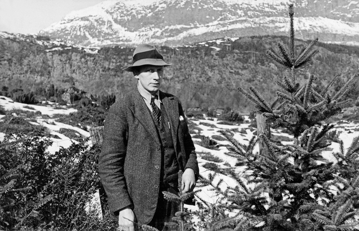Grunneieren Sigurd Vik (1889-1967) fra Holmedal i Askvoll i Sunnfjord, fotografert i utmarka, der han i 1931 hadde plantet sitkagran (Piecea sitchensis).  Plantningen hadde øyensynlig vokst fantastisk godt, for det treet Vik ble fotografert ved sinden av seks år seinere rakk ham allerede over hodet.  Bak ham ser vi et nettinggjerde, som antakelig skulle hindre at beitedyr trengte inn på plantefeltet og ødela trærne i etableringsfasen.  Bakenfor ser vi et delvis snødekt, småkupert landskap med spredte einer- og bjørkevegetasjon.  Sigurd Vik var kledd i dressjakke, vest, skjorte, sips og lys filthatt med mørkt bånd da dette bildet ble tatt.

Fotografiet er hentet fra et kartotek som ble samlet av Waldemar Opsahl, som var statskonsulent for skogkultursektoren fra 1936 til sin død i 1954.  Arkivet ble overlatt til Norsk Skogbruksmuseum i Tore Fossums bestyrertid.  Opsahl har antakelig tatt de fleste av bildene i arkivet.  Materialet består av pappkort med opplimte kopier av svart-hvitt-fotografier.  Kortet med dette fotografiet på er merket «A.c.20» og «(205)».  Under bildet er det påklistret en liten papirstrimmel med påskriften:

«Sigurd Vik, Holmedal, i sitt plantefelt med sitkagran 6 år efter utplantning. W.O. Fot. 1937.»