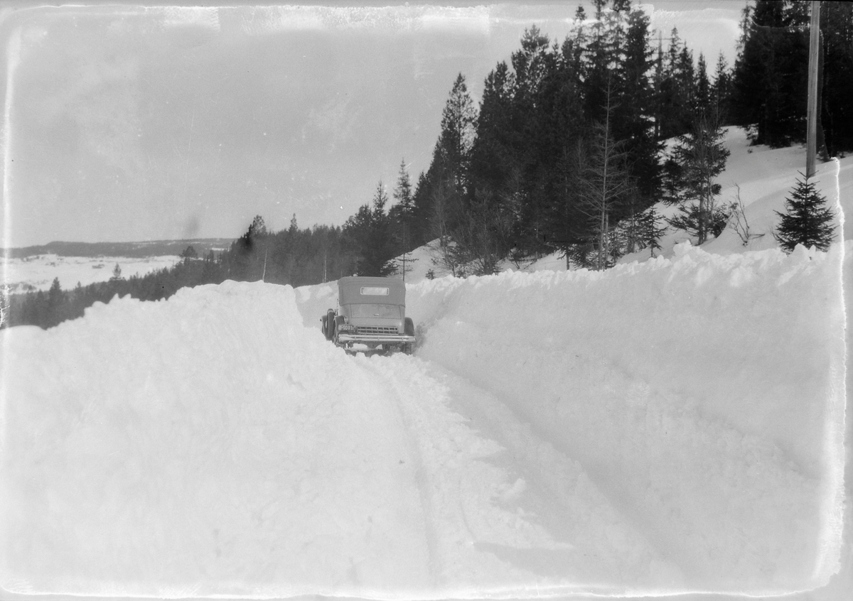 Biltur Støren - Berkåk - Ulsberg på vinterføre med reinsdyr i veien