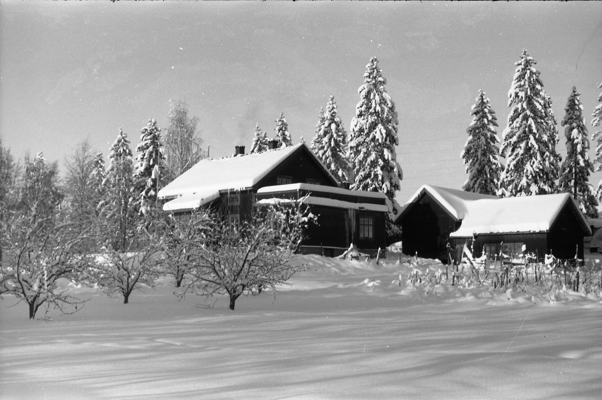 Eiendommen Hov i Kolbu. Ca. årsskiftet 1952/1953. Fire bilder.