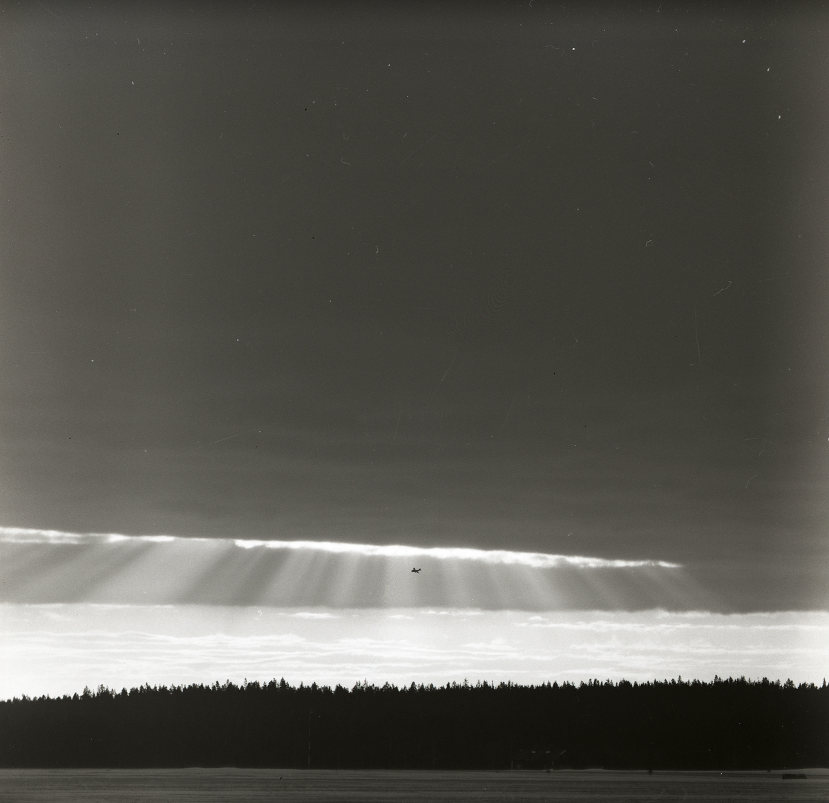 Ett flygplan av modellen J29 Tunnan flyger ovanför skog vid F15 i Söderhamn 1957. Flygplanet befinner sig intill en öppning i molntäcket där solen lyser igenom.