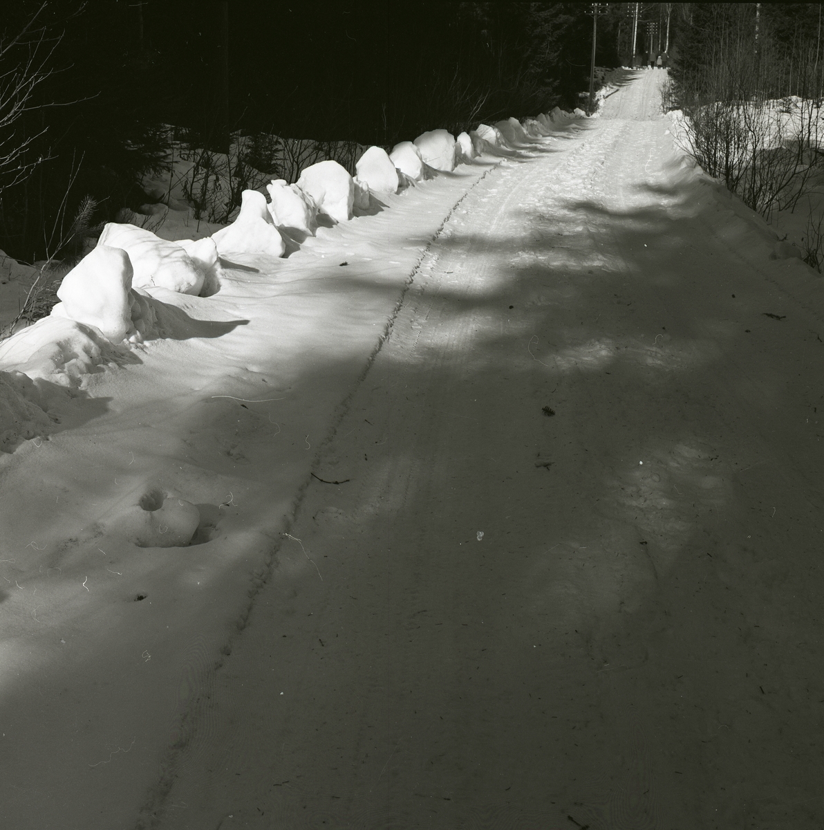 Snötäckt skogsväg med en stor snökant på sidan, 1961.