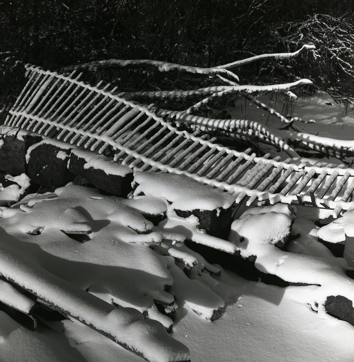 Snötäckt staket som fallit omkul i Lenninge, 31 januari 1960.