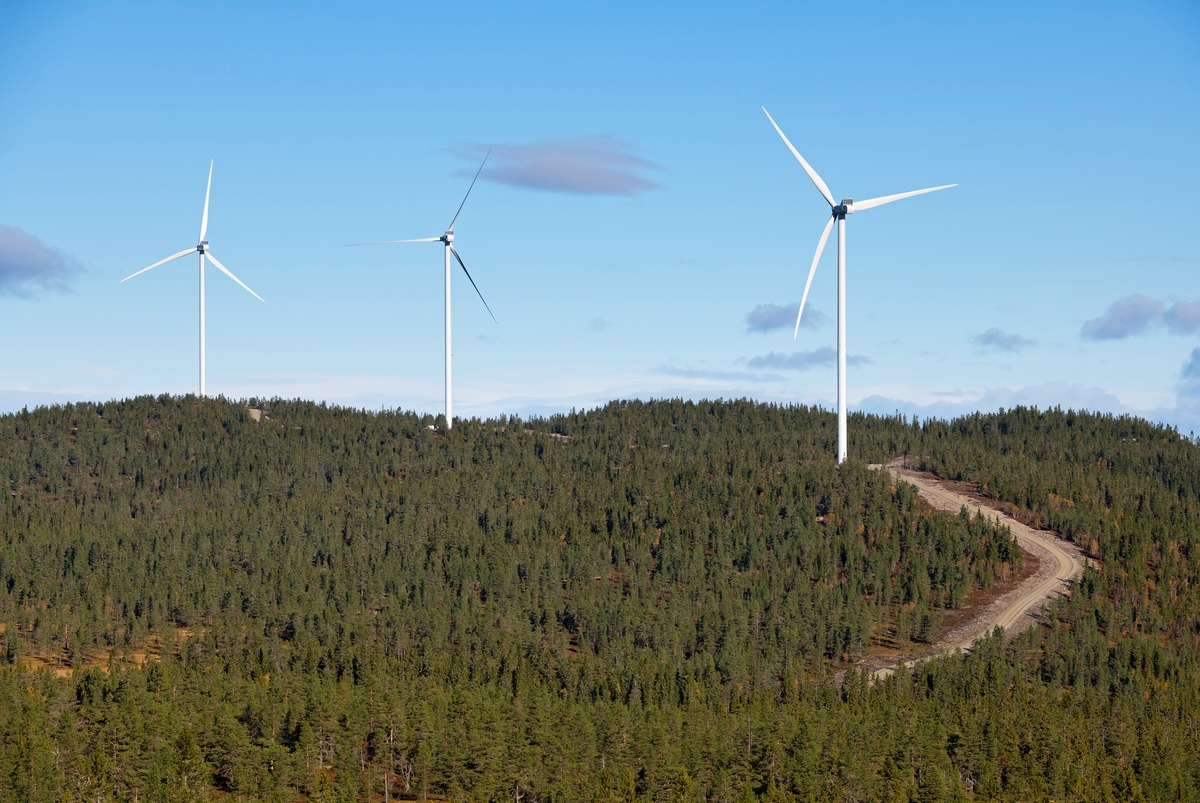 Fra «Austri Raskiftet» – en energiproduserende vindmøllepark på høydedragene vest for Osensjøen i Hedmark september 2018.  Fotografiet viser tre av vindmøllene på Ulvsjøberget slik de rager over det skogkledde landskapet.  Vi ser også litt av anleggsvegen som måtte bygges i for å få realisert denne vindmølleparken.  Det er Stadtwerke München (60 %), Eidsiva Energi (20 %) og Gudbrandsdal Energi (20 %) som investerer i dette utbyggingsprosjektet, men det praktiske utbyggingsarbeidet administreres av det svenske vindkraftselskapet OX2.  Prosjektet berører et areal cirka 27 kvadratmeter i skoglandskapet i grensetraktene mellom Åmot og Trysil kommuner, og vindmøllene plasseres høyt i terrenget, på Raskiftet, Ulvsjøberget og Halvorsberget, omkring 800 meter over havet.  Anleggsarbeidet startet i august 2016, og vindmøllene skal levere energi fra vinteren 2018-2019.  Dersom kalkylene stemmer, vil produksjonen bli cirka 340 GWh per år.  Investeringsbudsjettet er på 1 400 millioner kroner, hvorav cirka to tredeler er avsatt til bygging av 37 vindturbiner med navhøyde på 112 meter og rotordiameter 112 meter. Rotorene vil altså nå opptil 175 meter over bakkenivå.  I forbindelse med prosjektet bygges om lag 30 kilometer med anleggsveger i området.  Dette er det største byggeprosjektet og det visuelt mest iøynefallende byggesaken som noen gang har vært realisert i Trysil kommune.  Inngrepene i skoglandskapet har vakt debatt.  Ordførerne i de to vertskommunene har poengtert at vindmøllene skal produsere fornybar energi, at den vil gi lokale arbeidsplasser og inntekter til kommunekassene.  De kontraktfestete kraftinntektene blir på mellom 10 og 11 millioner, og fordeles med en tredel på Åmot og to tredeler på Trysil.  Konsesjon for dette vindkraftverket ble innvilget sommeren 2015, i første omgang for 25 år. Raskiftet Vindkraftverk. Vindpark.