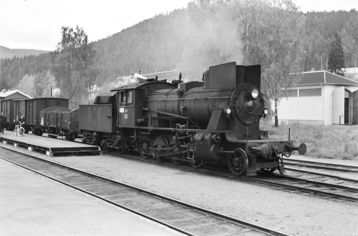 Godstog til Eina på Fagernes stasjon. Toget trekkes av damplokomotiv type 24b nr. 221.