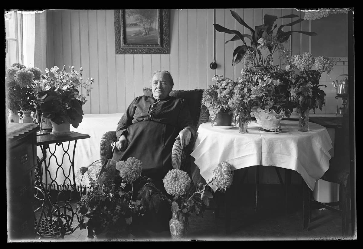 En kvinna sitter i en korgstol och är omgiven av blommor. I fotografens anteckningar står det "Lovisa Karlsson 80år".