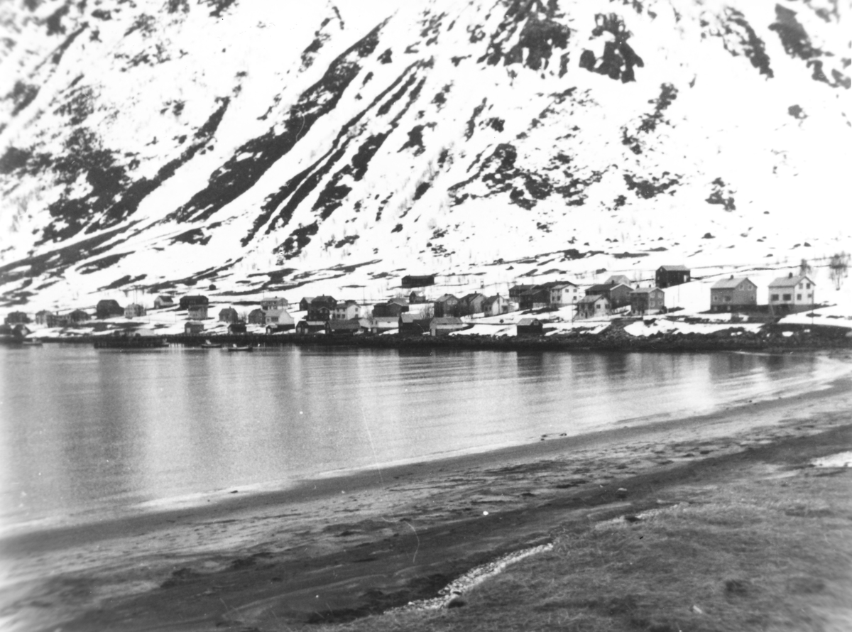 Steinfjord 1981