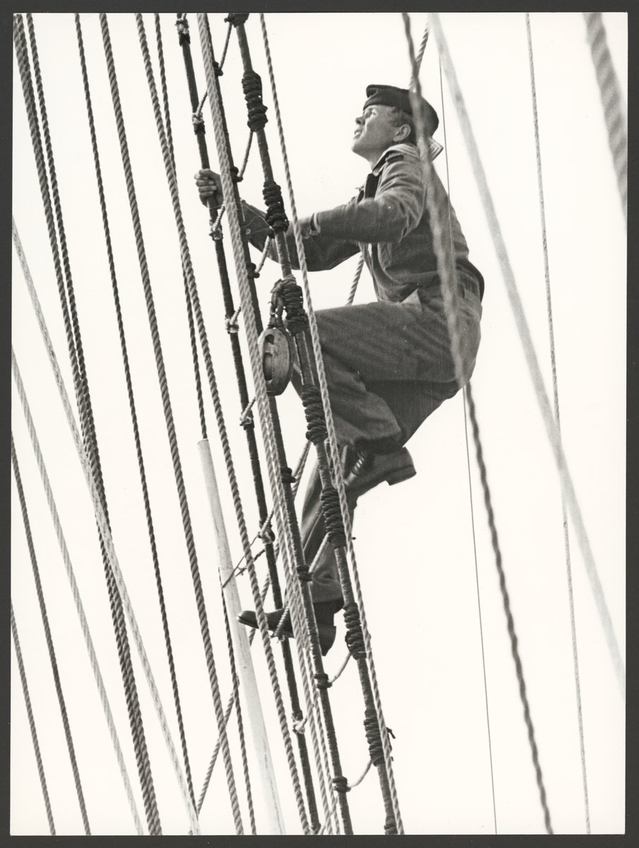 Bilden visar en kadett som klättra upp i en vant på en av flottans skolfartyg Gladan eller Falken.