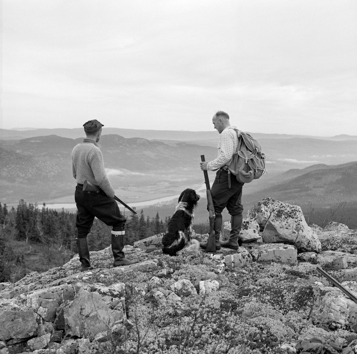 Rypejakt med fuglehund. Rypejegere på en bergknaus ved Rognvola i Stor-Elvdal høsten 1962. Jegerne er Knut (til venstre) og Finn Torp. Mellom seg har de en engelsk setter, som Finn eide. Begge karene er kledd i nikkersbukser og har gummistøvler på beina. Knut har en tynn ullgenser på overkroppen, Finn ei rutete skjorte. Han har også en tursekk på ryggen. Bak og under dem skimter vi Glomma-dalføret med elvesletta ved Evenstad og de skogkledde høydedragene på østsida av vassdraget. Fotografiet er tatt under rypejakt. 

Dette fotografiet illustrerer også at Rognvola er et fantastisk utsiktspunkt. Stedet hadde i sin tid også en skogbrannvaktstasjon som var bemannet sommerstid fram til og med 1953.