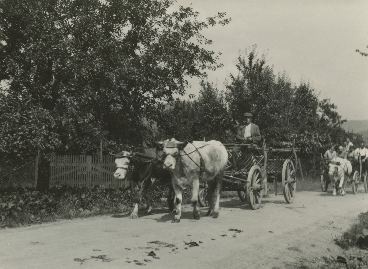 Motiv av noen bønder med okse og kjerre som kjører på landeveien ved Baden og Heidelberg.