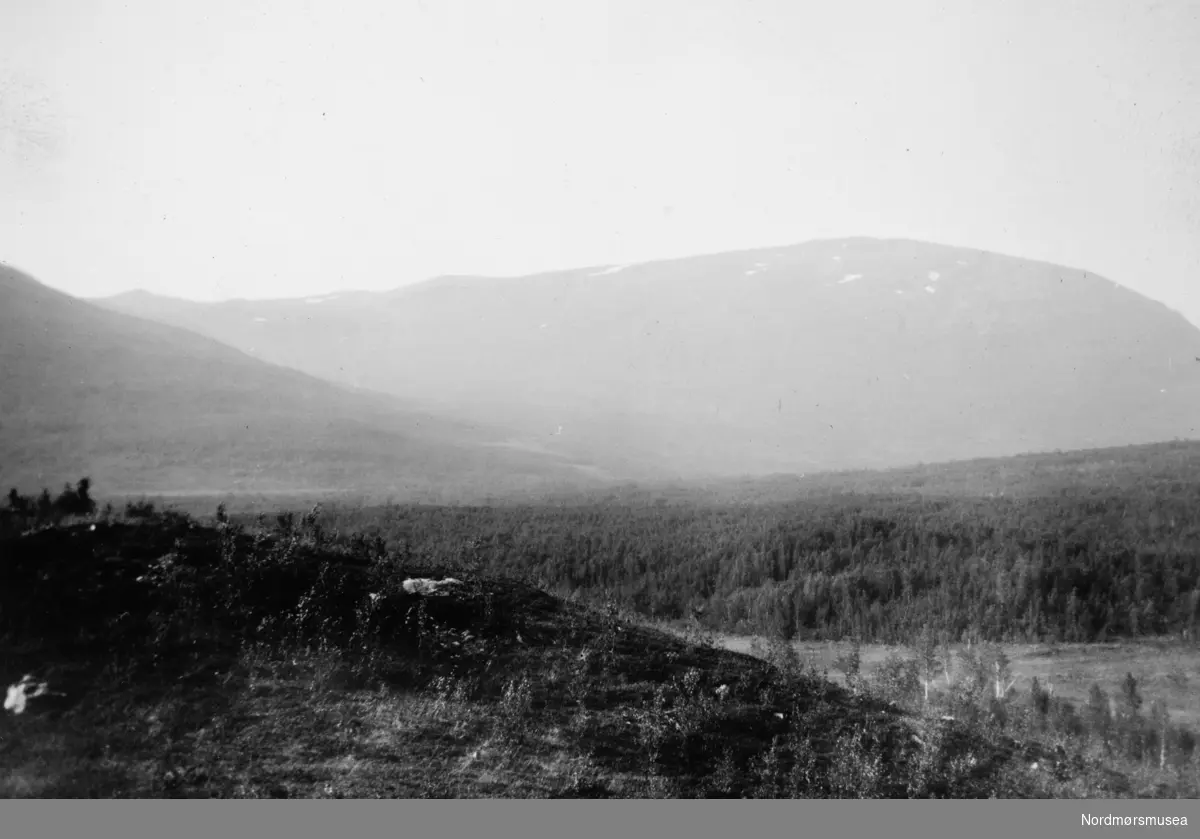 Naturlandskap. Et bilde fra en samling fotografier med bureisingsfelt i Norge. Originalmaterialet tilhører Norsk myrmuseum i Smøla kommune. Fra Nordmøre museums fotosamlinger.