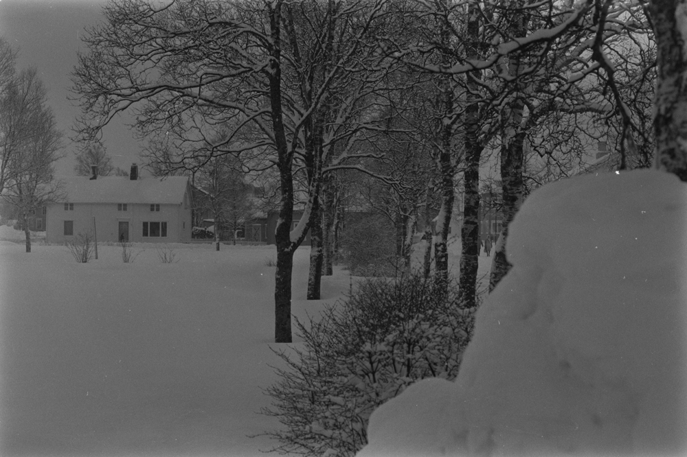 Fra parken. Chr. Qvales gate til høyre, huset til venstre i Torolfs gate er revet. Julereportasje