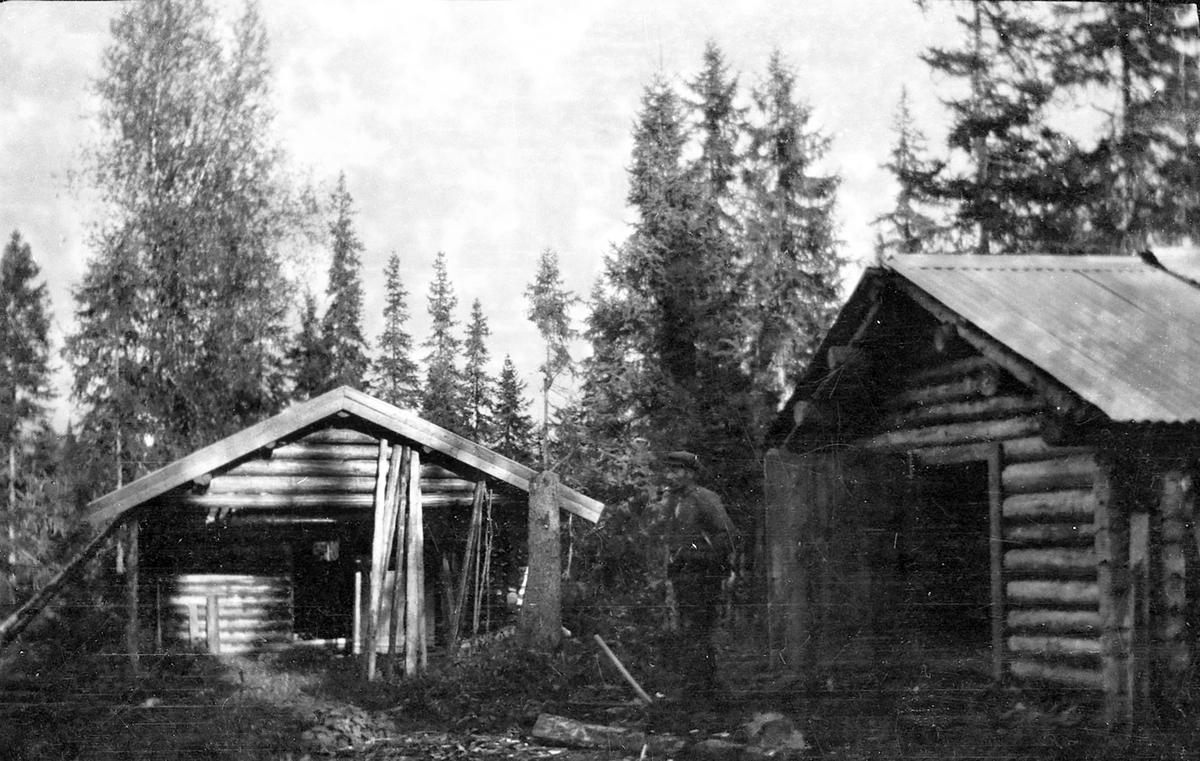 En mann ved to tømmerhus i skog.