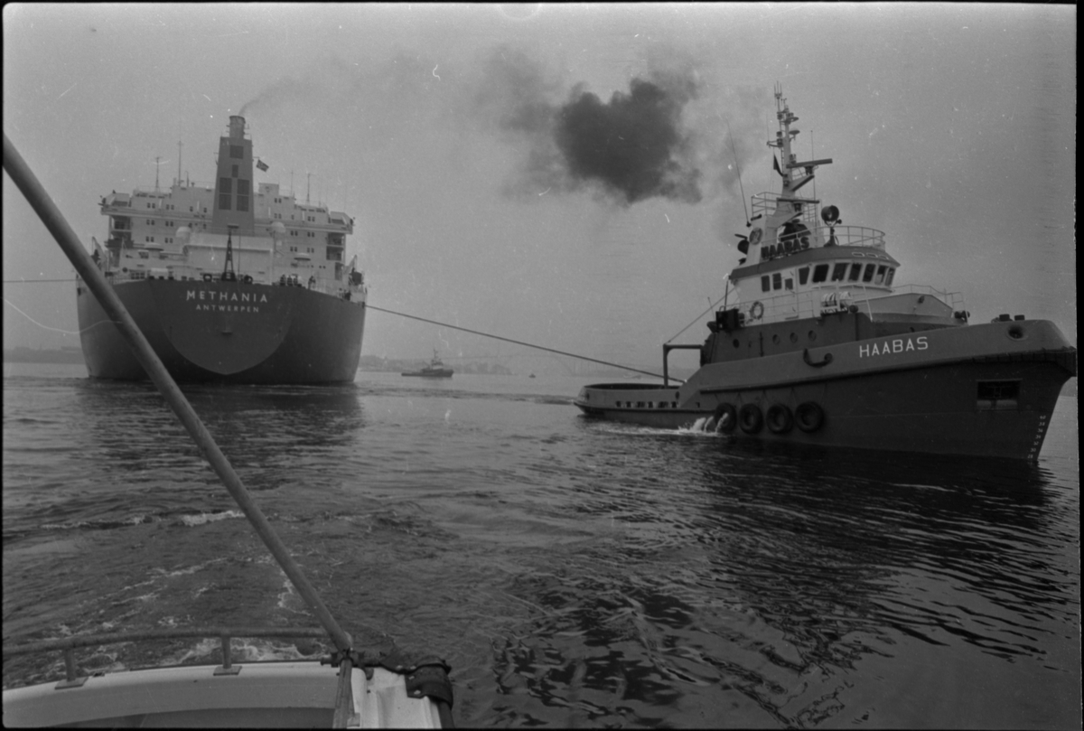 Taubåten M/S "Haabas", hjelper skipet M/S "Methania" fra Antwerpen.