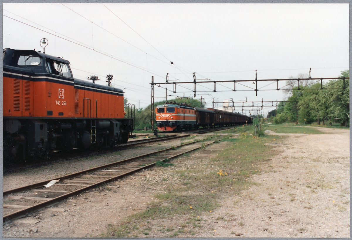 Tågmöte med Statens Järnvägar, SJ T43 256 samt SJ Rc2 1071 med godsvagnar i Kimstad.