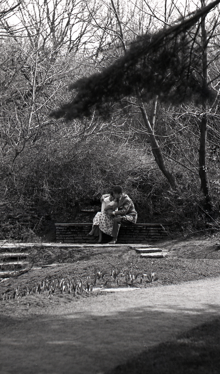 Kvinna och man på bänk, Stadsträdgården, Uppsala 1961
