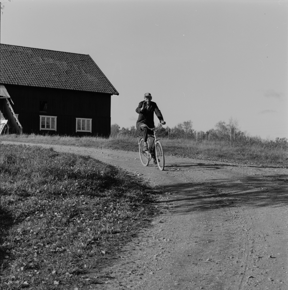 Befallningsman Ingemar Karlsson cyklar till arbetet efter lunchen, Hacksta gård, Enköpings-Näs socken, Uppland oktober 1981