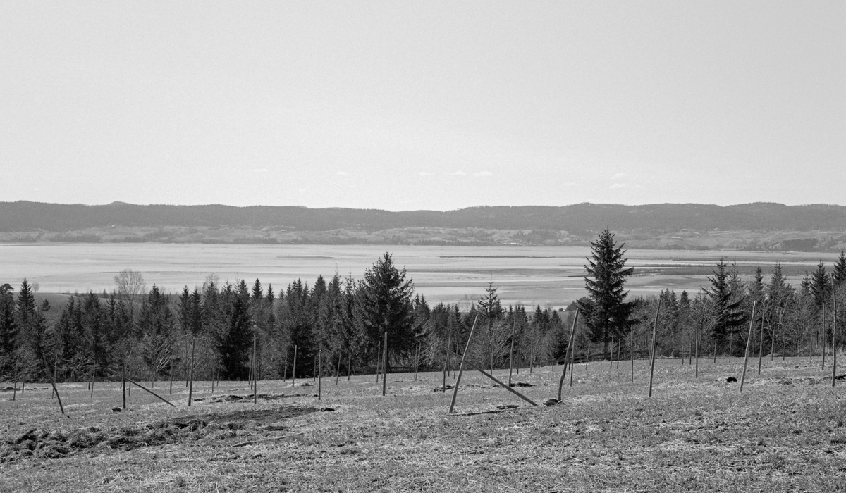 Utsikt over den nordre delen av innsjøen Øyeren i Glommavassdraget, sett fra et vollareal der det sto hesjestaur etter forrige slåttonn.  Øyeren er Norges niende største innsjø med et vannspeil på om lag 80 kvadratkilometer.  Innsjøen ligger i kommunene Enebakk, Fet og Rælingen i Akershus og i Trøgstad og Spydeberg i Østfold.  Vannspeilet ligger 101 meter over havet.  Dette fotografiet er tatt i 1961 av en av ingeniørene fra Glomma fellesfløtingsforening, som dette året sorterte 8 974 648 tømmerstokker ved lenseanlegget ved Fetsund.  Størstedelen av dette kvantumet ble buksert over innsjøen i bunter – såkalte «moser» – mot utløpet av innsjøen i nedre Glomma ved Mørkfoss i Trøgstad.