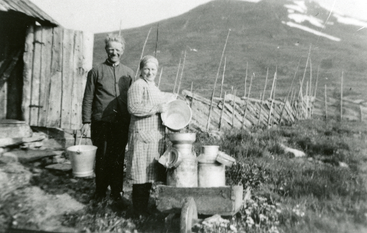 Rudi stølen ved Vinstervatn. Ca. 1940.