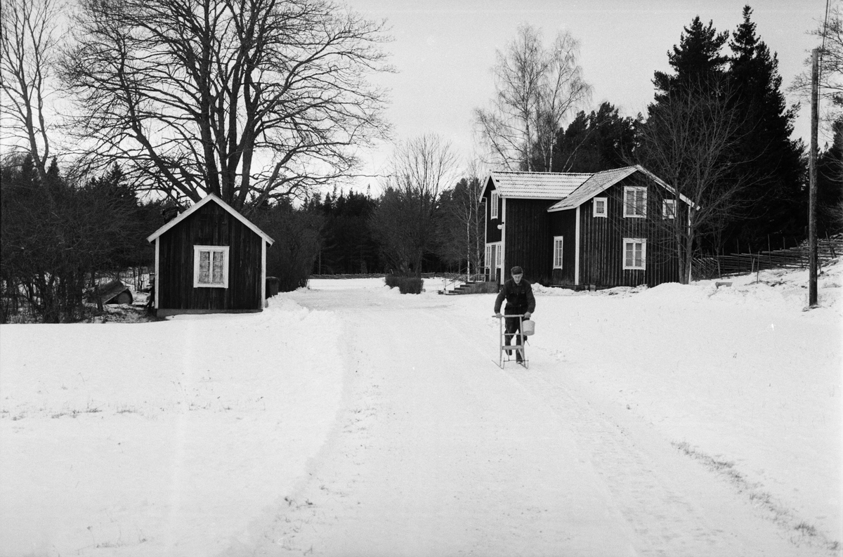 Lantbrukare Arvid Mattsson åker sparkstötting, Lönnholmen, Gräsö, Uppland 1994 - 1995