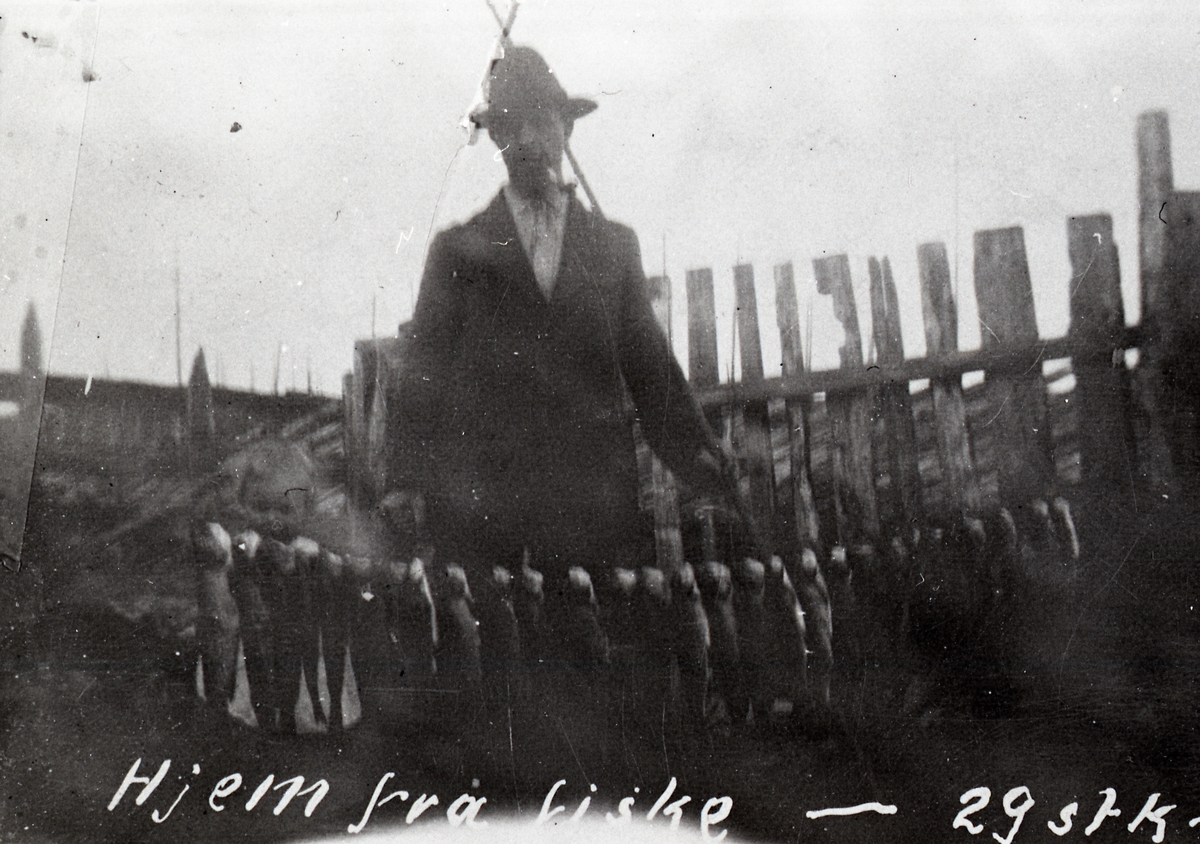 Frå stølen Trøllåsen ca. 1918.