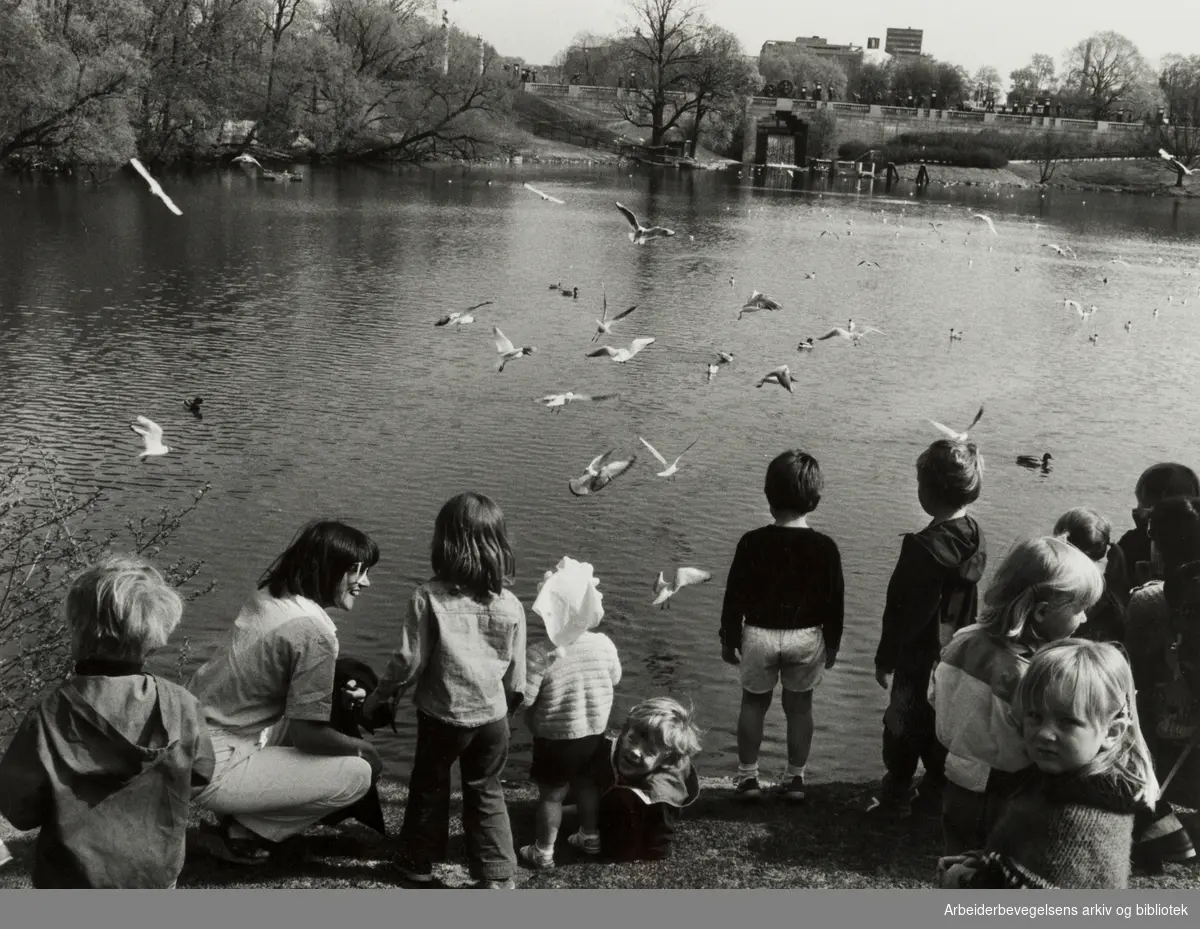 Frognerparken. Mai 1981