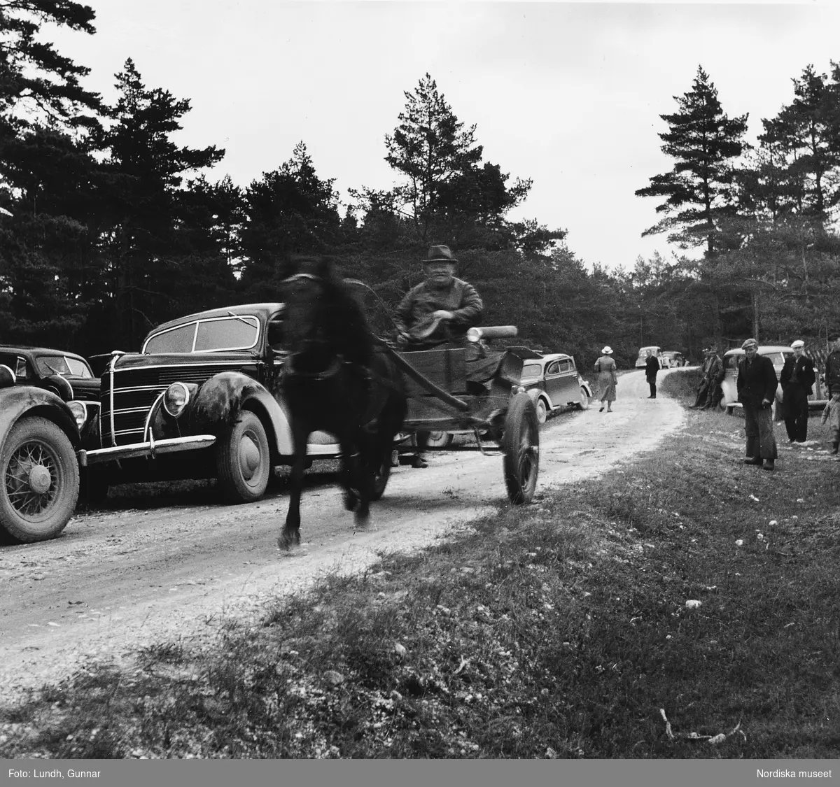 Man med hästkärra kör förbi en rad med parkerade bilar på en grusväg. Personer står vid de parkerade bilarna. Gotland år 1938.