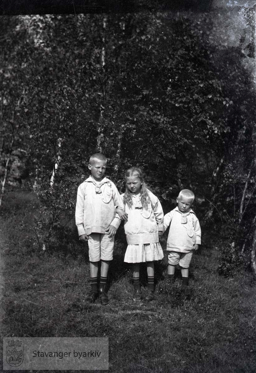 Tre barn foran bjørketrær