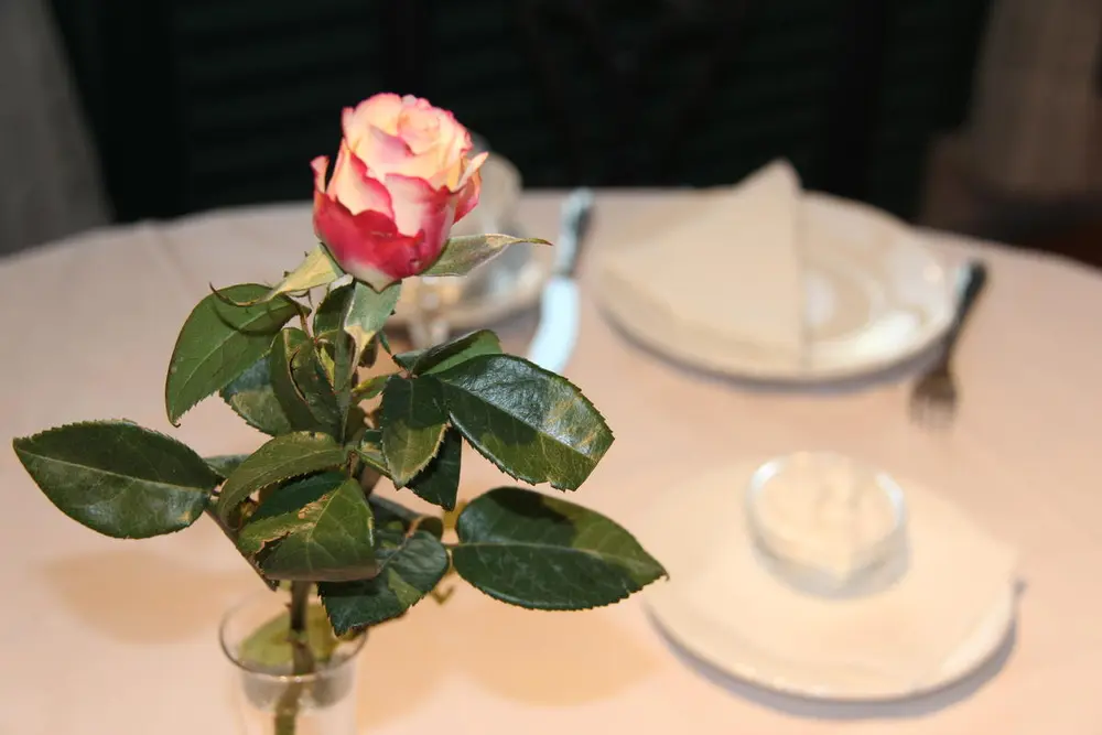 Pyntet bord med rose i forkant og kaffeservice i bakgrunnen