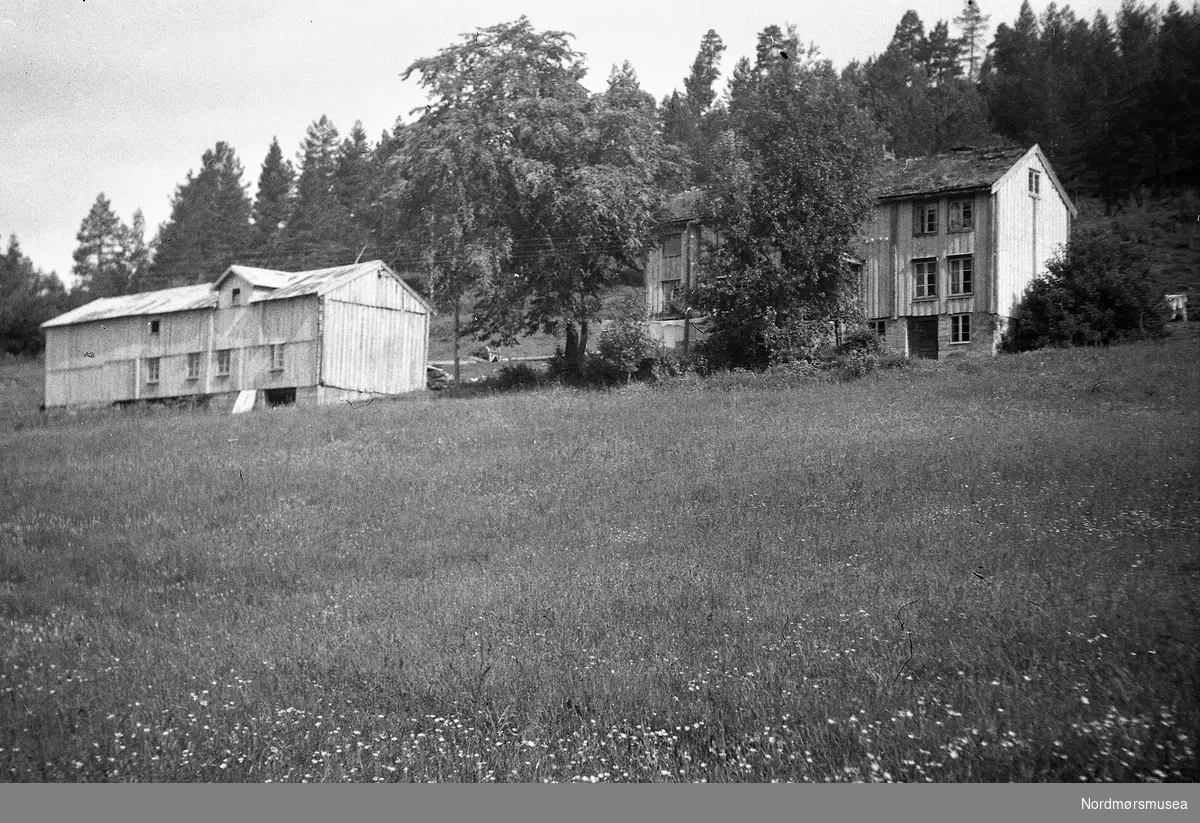 Våningshus med to store tre framom. Fjøs. Settemsli i Bøfjorden gnr. 82/1
