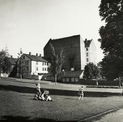 Grünerhagen. 1956