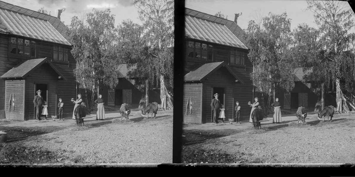 Hans H. Lie og familie, med kuer, katt og ei høne, utenfor huset deres Fronheim på Vinstra.