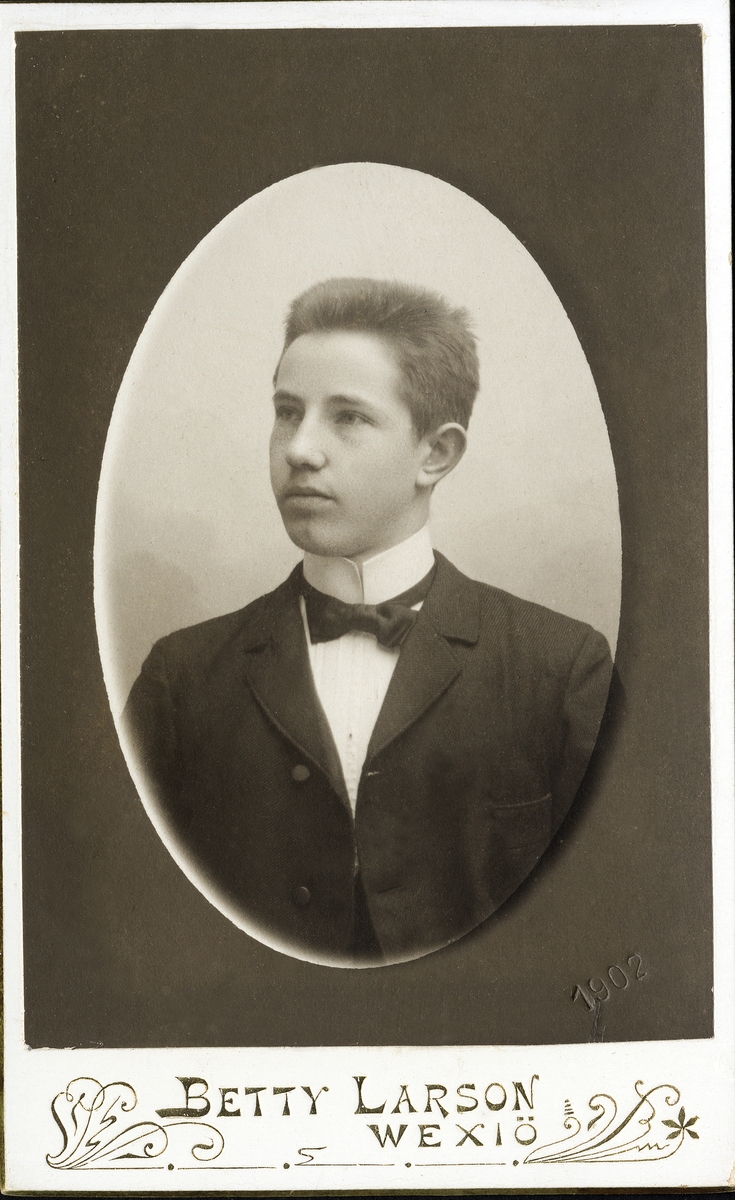 Porträttfoto av en okänd ung man klädd i mörk kostym med stärkkrage och fluga.
Bröstbild, halvprofil. Ateljéfoto.