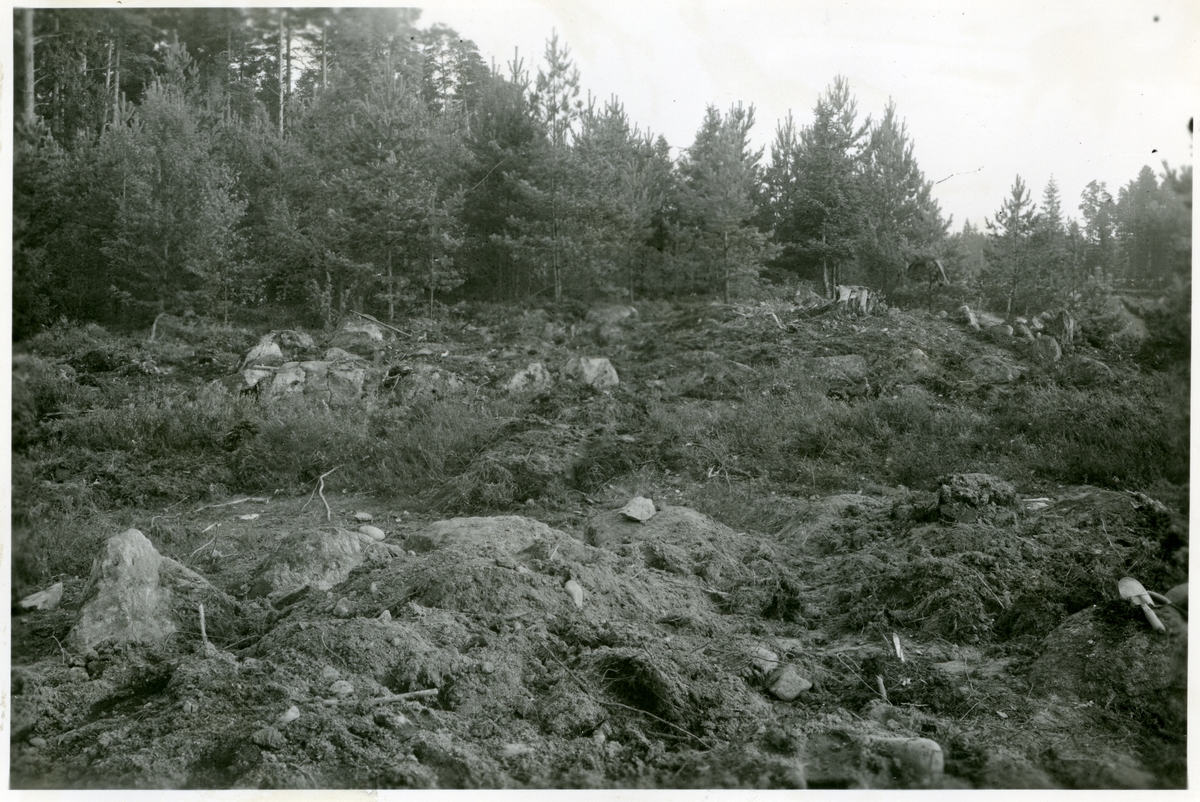 Hubbo sn, Alvesta.
Alvesta nr 3, fornlämningar nr 8, 9, 13 9 och 16 från nordväst efter att grästorv och ljung bortskalats. 1951.