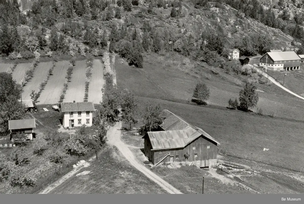 Flyfoto av Nyhus 13.6.1958.