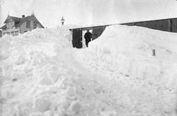 Snømengder i Vadsø 29/4-1911. Gjerdet er 4 meter høyt.
