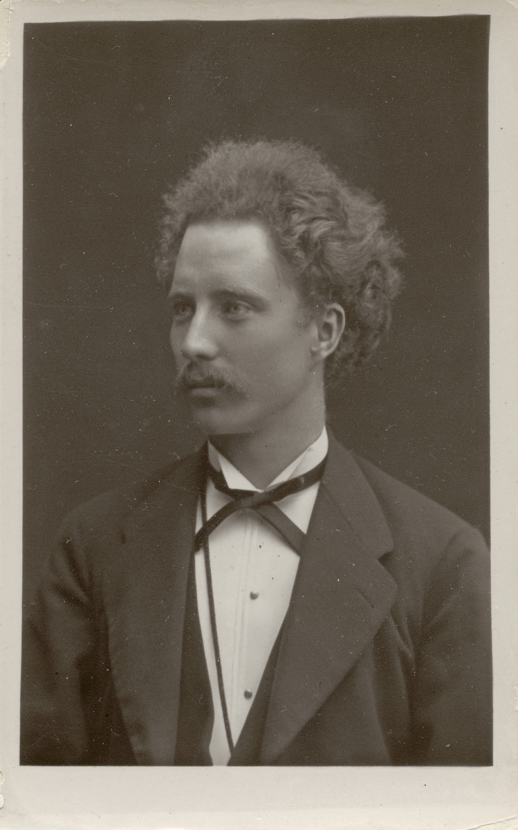 Robert Bäcklin, 1877.