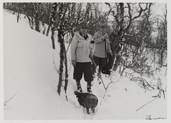 Tre menn på skitur i skogen med hund