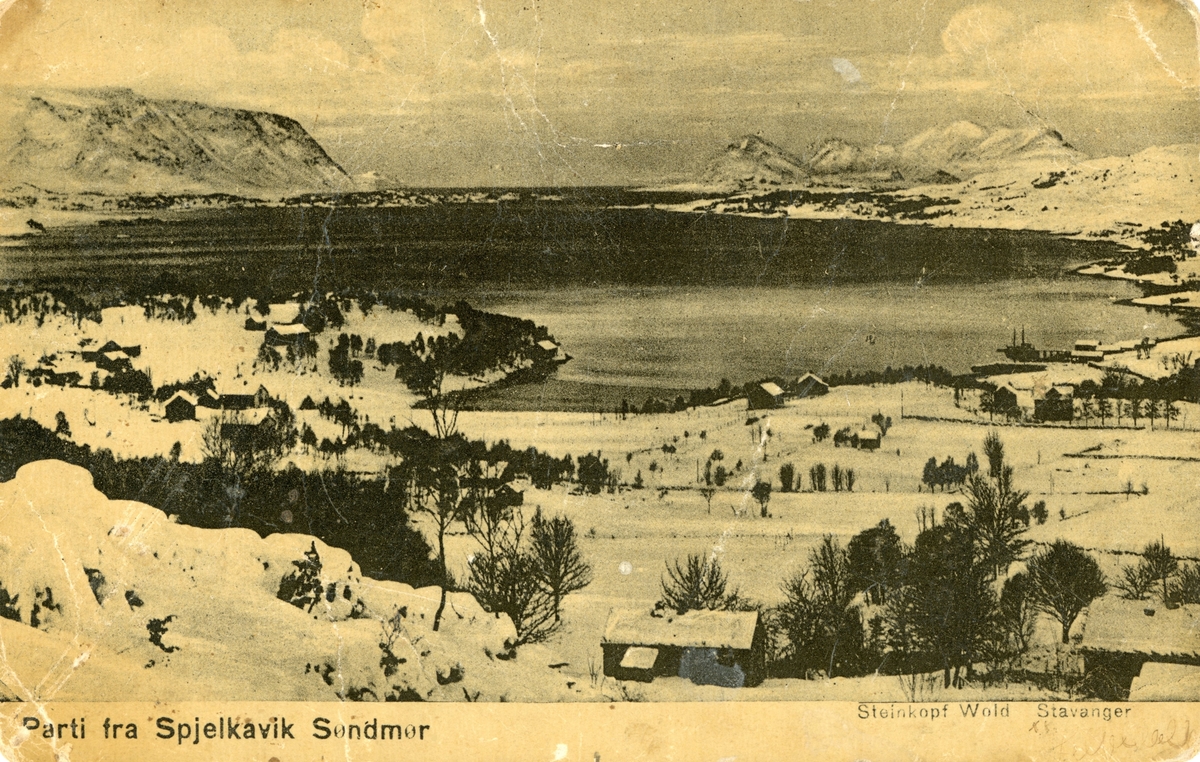 Oversiktsbilde av Spjelkavika med Åsefjorden i vinterdrakt.