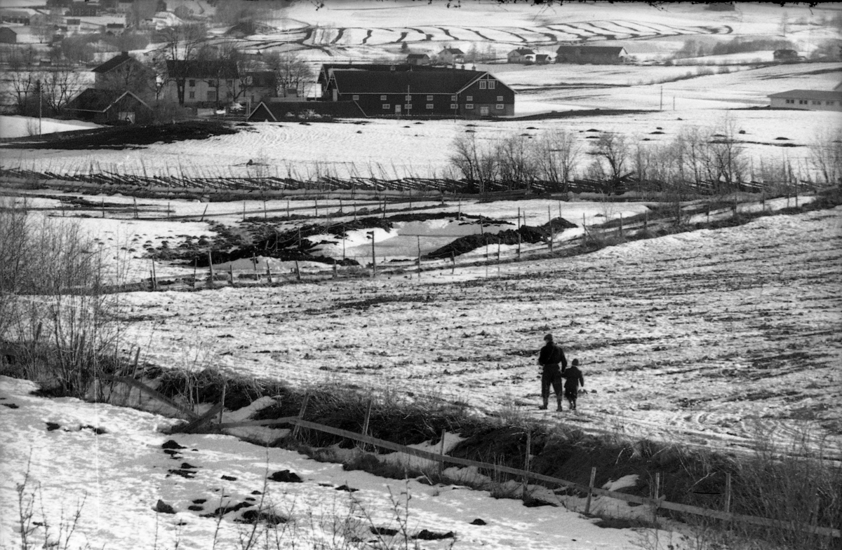 To tilnærmet like bilder tatt fra fra Odberg på Kraby, Østre Toten, april 1960. Øverst i bildene er gården Slagsvold. I forgrunnen en mann og en smågutt som går i åkerkanten. Dette kan muligens være Arnulf Huset og sønnen Geir.
