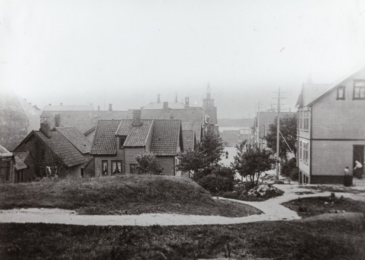 Parti av Skjoldavegen sett mot vest, ca. 1900 (før den ble anlagt).